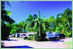 Tropical Hibiscus Caravan Park - Accommodation in Surfers Paradise
